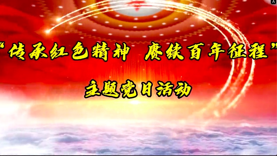 傳承紅色精神，賡續(xù)百年征程-共產黨員服務大隊主題黨日活動